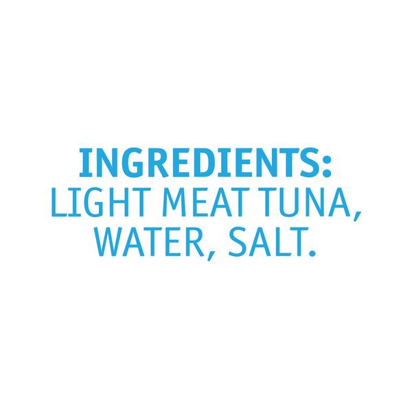 Light Meat Tuna Flakes In Water (Salt Added) – Tasty Nibbles - 185gm