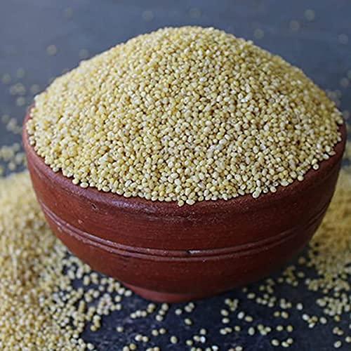 Little Millet | (Kutki) - Organic - Just Organik - 500gm