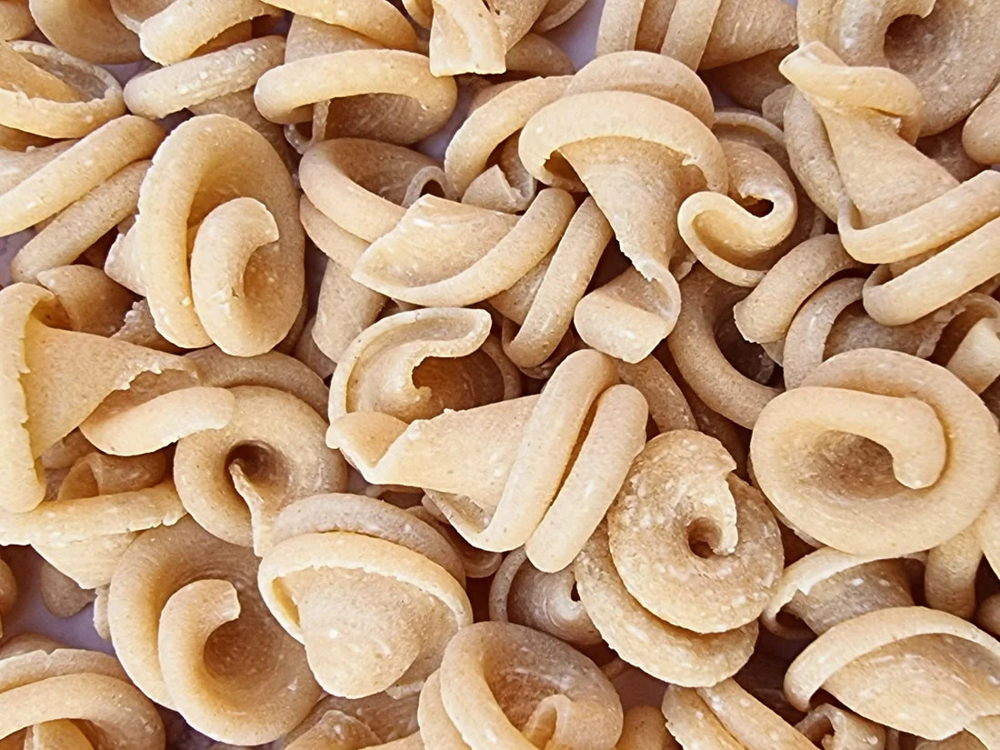 Pasta | Little Whole Wheat & Semolina (Trottole) - No Added Salt - Donna Pastaia - 200gm