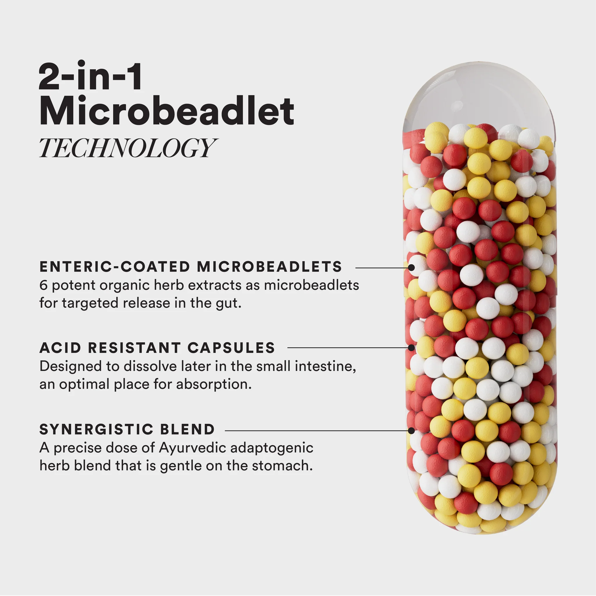 Slow – Liver Detox – Milk Thistle, Arjuna & Berberry - A Time Conscious Supplement In MCT Oil - Gently Cleanse & Regulate The Liver - Slow Release, Plant Base, No Wheat, No GMO & Nutri Science – Wellbeing Nutrition – 60 Capsules