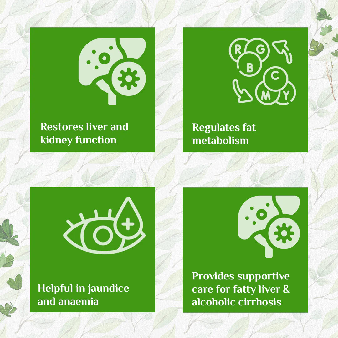 Liver Kidney Care - Heals and Protects Liver & Kidney - Organic India - 60 Capsules Bottle