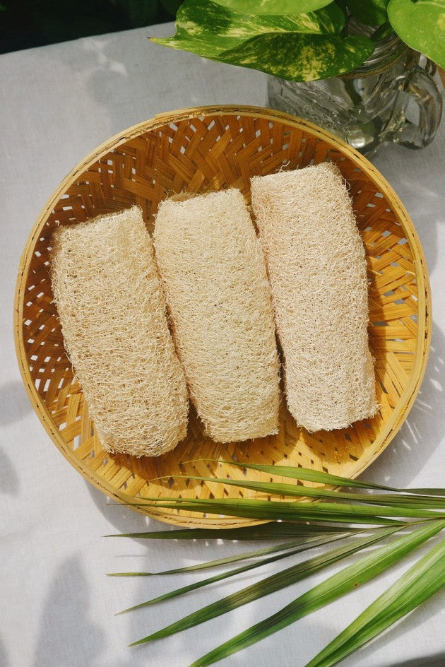 Loofah Sponge – Natural Bathing Scrub - Almitra - 1Pc.