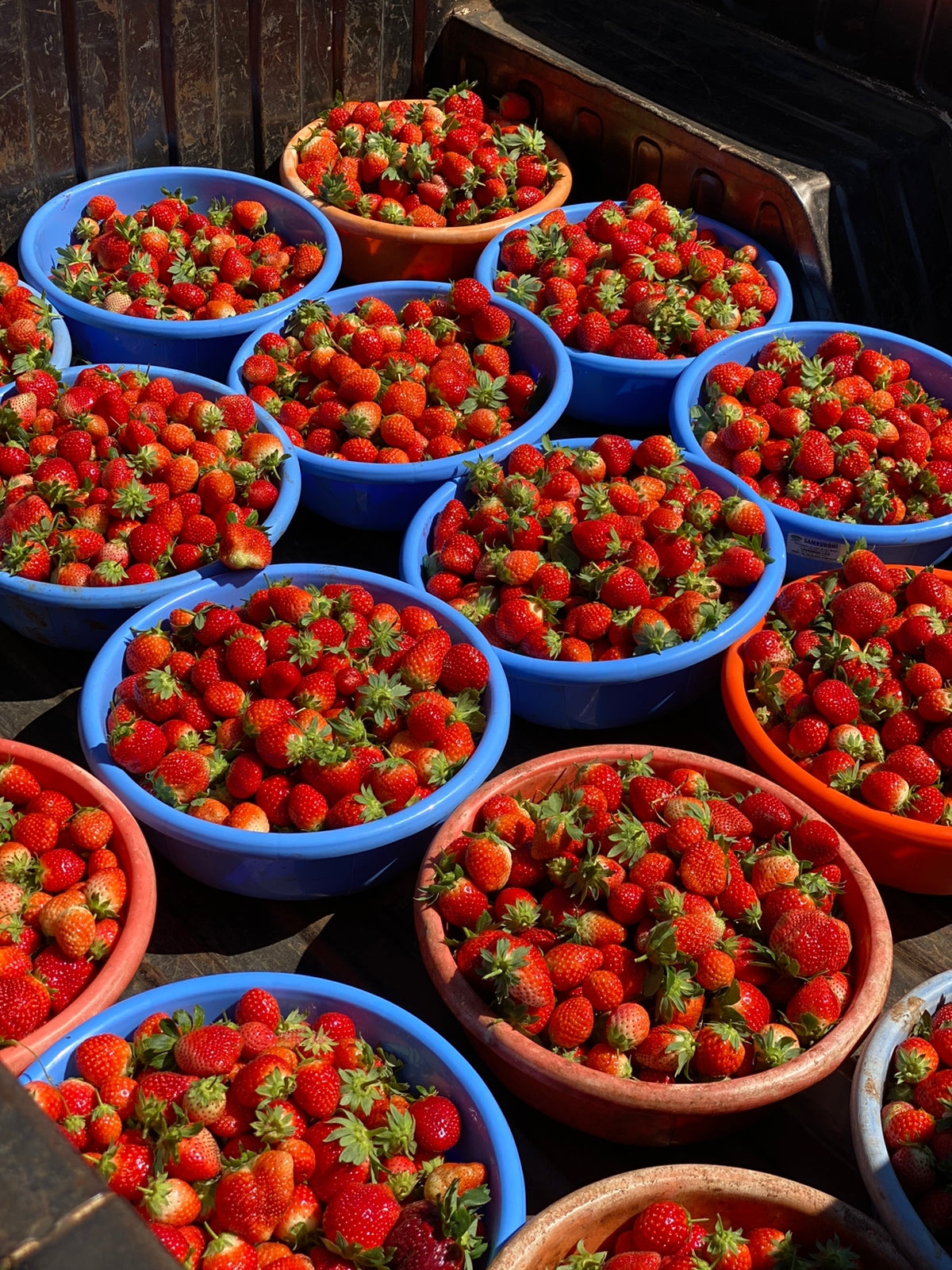 Strawberries - Mahabaleshwar - Certified Organic - 500gm