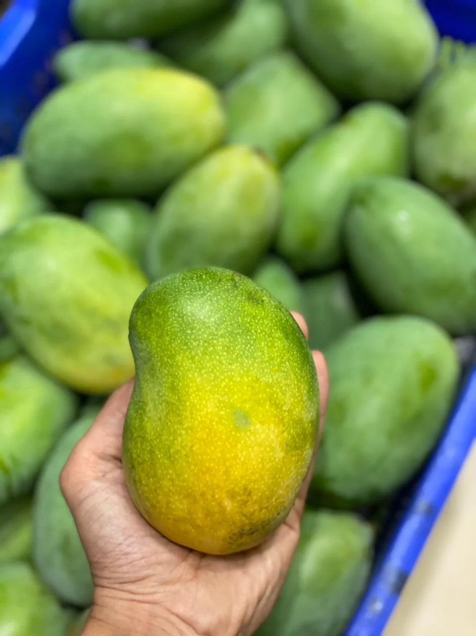 Mango | Mallika Mango – Carbide Free & Naturally Ripened