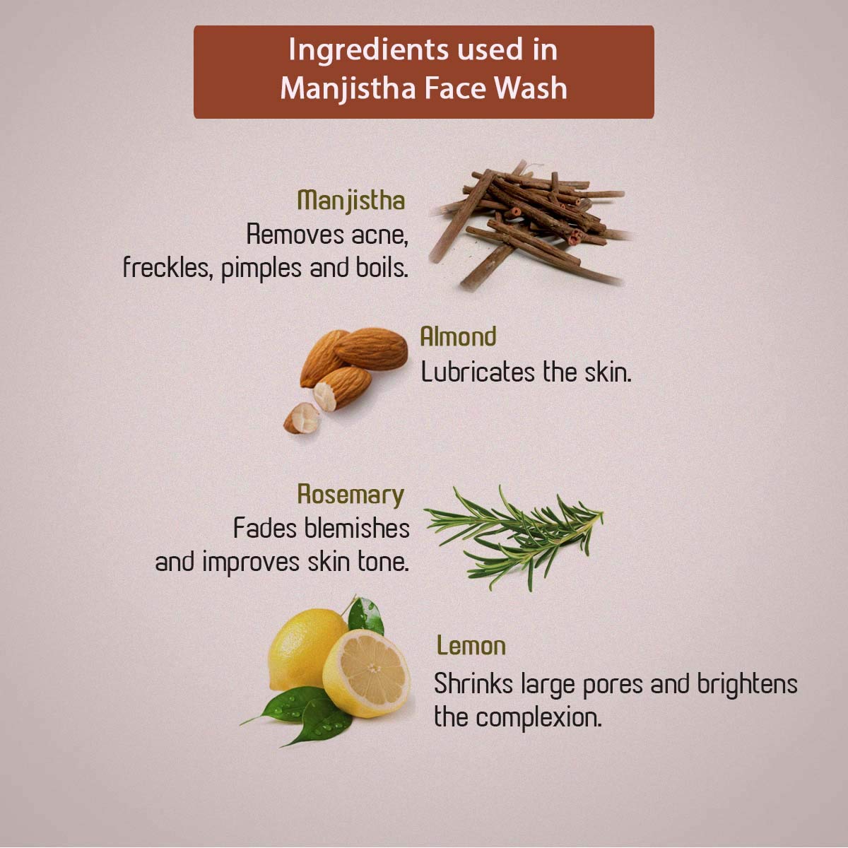 Manjistha Face Wash - Ancient Living - 100ml