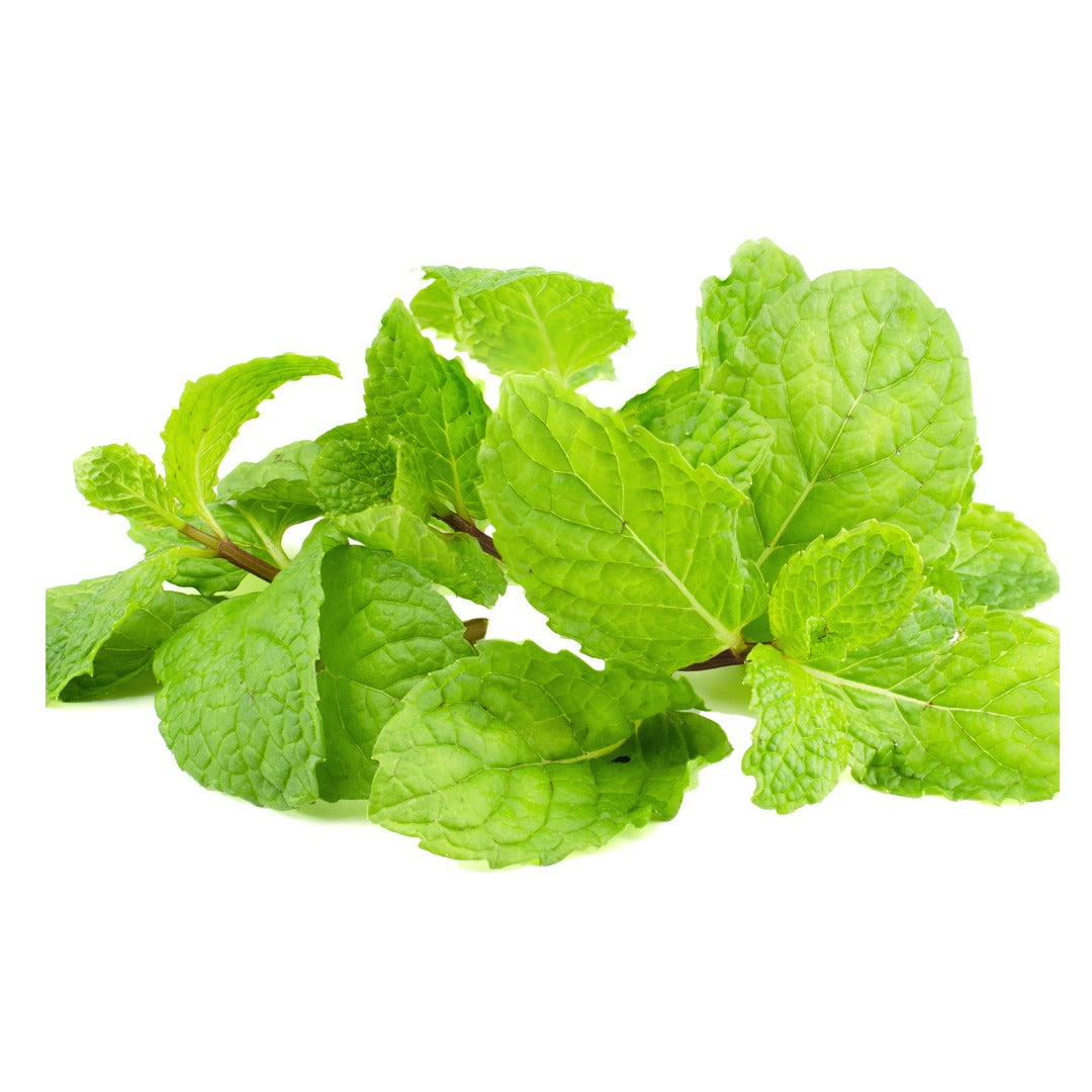 Mint | (Delhi) - Certified Organic