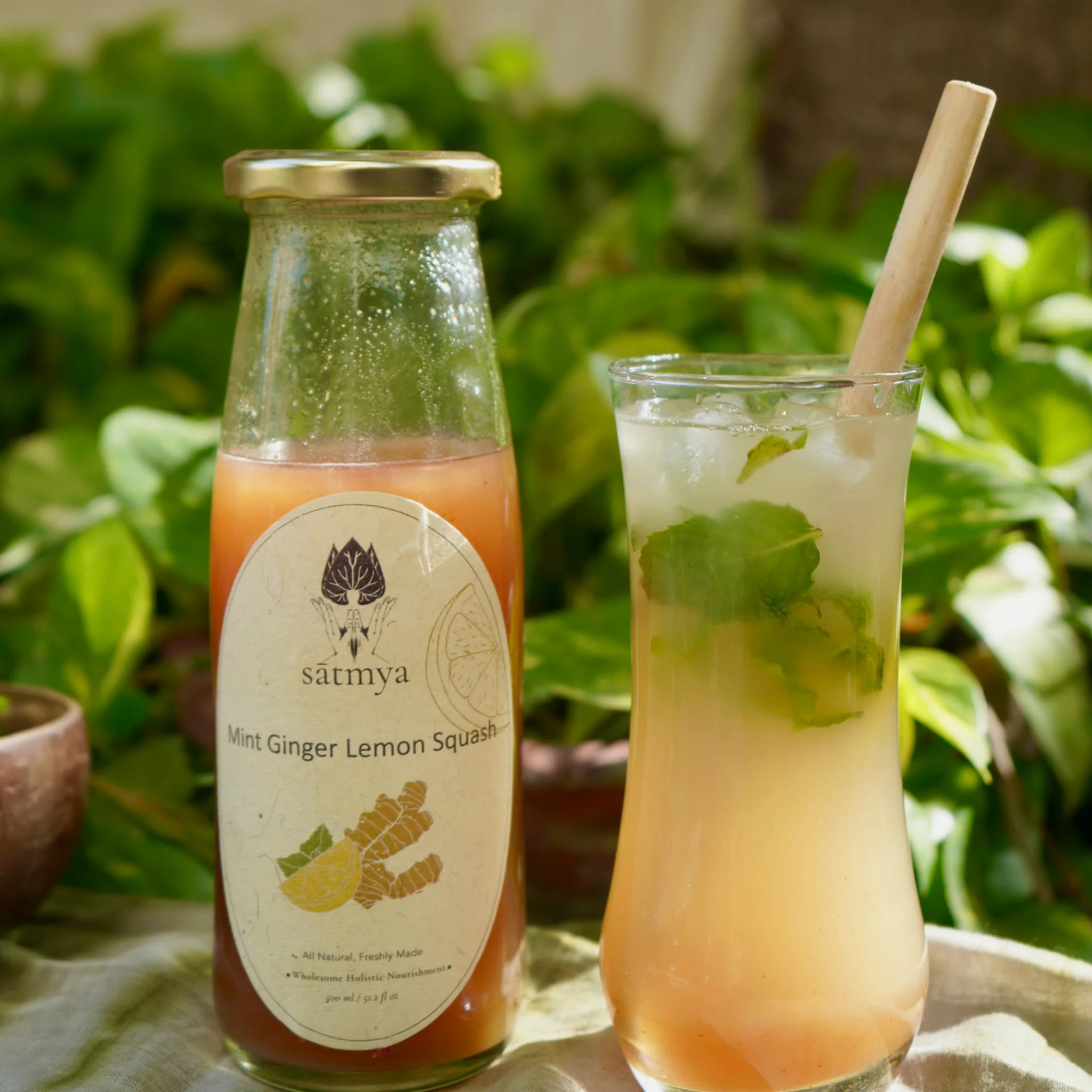 Mint Ginger Lemon Squash - All Natural - Gluten Free, Soy Free & Source Of Vitamin C – Satmya – 600ml