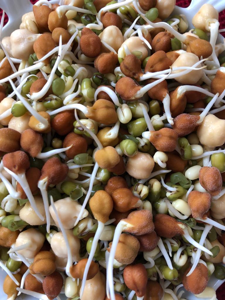 Mix sprouts | Certified Organic - 200gm
