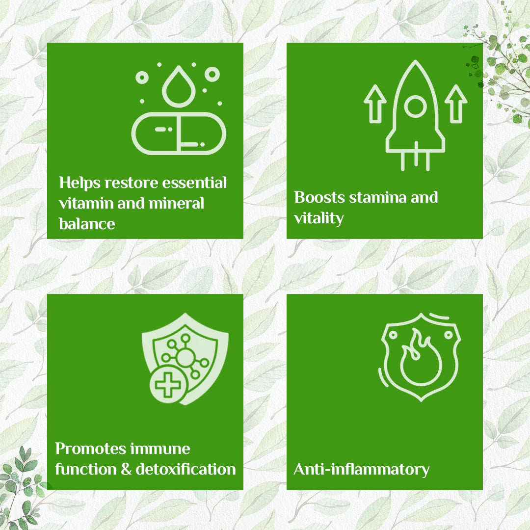 Moringa Powder - Organic India - 100gm