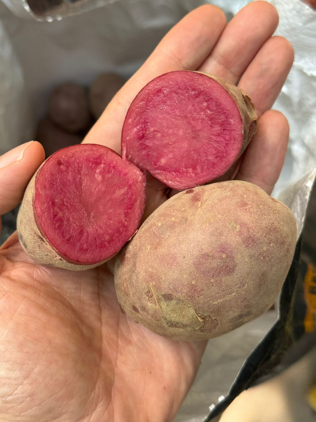 Potatoes | Mulberry Purple Potatoes -100% Naturally Grown in Farrukhabad - Exotic Gourmet Potato - Organically Grown
