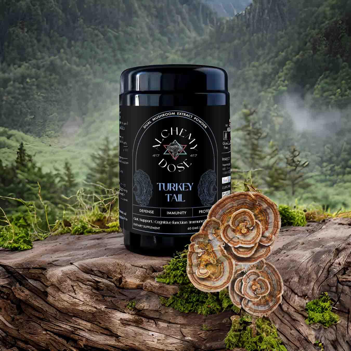 Mushroom Powder | Turkey Tail – Cognitive Function – Gut Support – Immune Support – Vegan, Gluten Free, Cholesterol Free, Soy Free, Peanut Free & Dairy Free – Alchemy Dose – (30 Serving) – 30gm