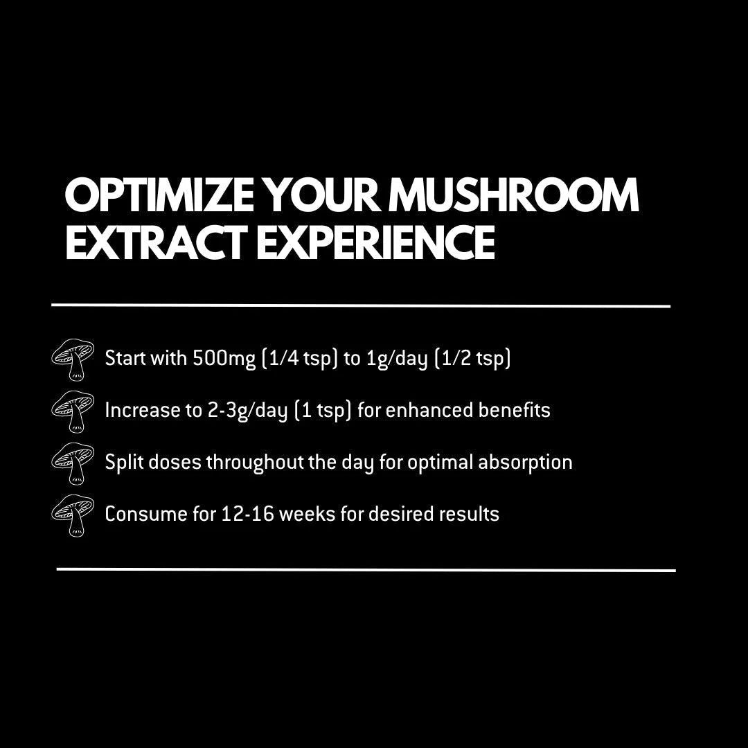Mushroom Powder | Turkey Tail – Cognitive Function – Gut Support – Immune Support – Vegan, Gluten Free, Cholesterol Free, Soy Free, Peanut Free & Dairy Free – Alchemy Dose – (30 Serving) – 30gm