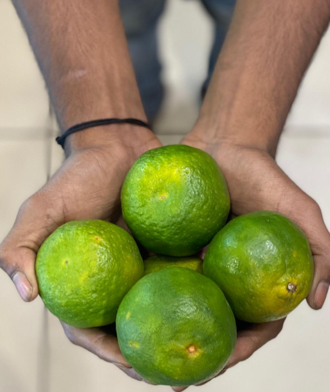 Oranges | Solapur - Rich in Vitamin C - Organically Grown