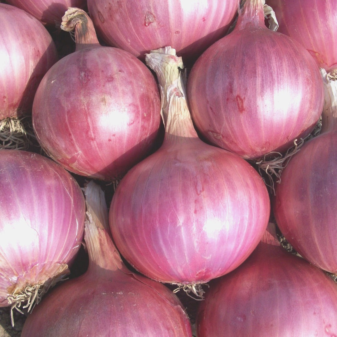 Onions (Sonipat) | Good Source of Vitamin C - Certified Organic
