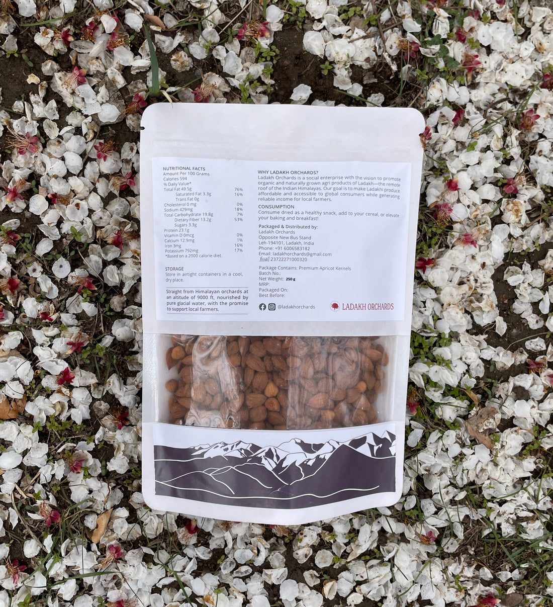 Apricots | Premium Apricot Kernels - From The Foothills Of The Himalayas - Sun Dried - All Natural & Chemical Free - Ladakh Orchards - 500gm