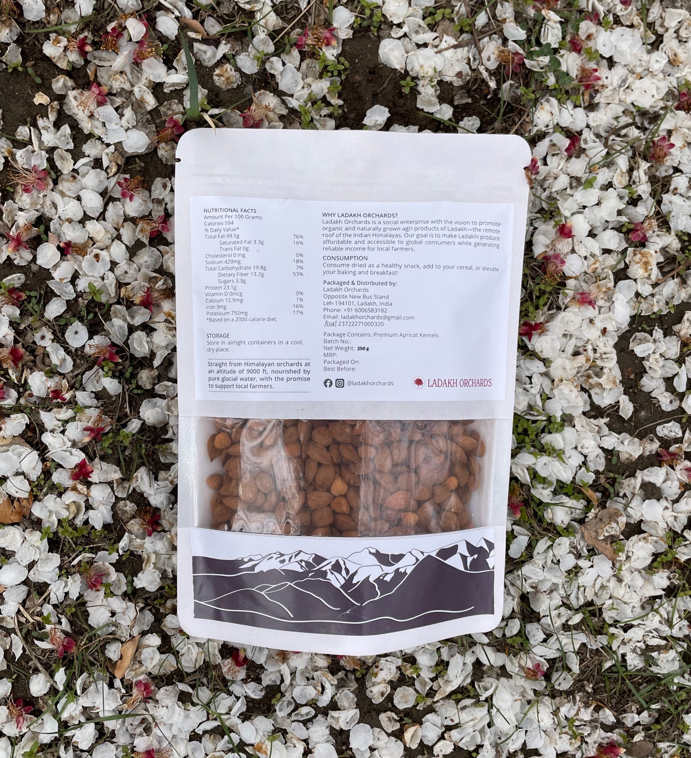 Apricots | Premium Apricot Kernels - From The Foothills Of The Himalayas - Sun Dried - All Natural & Chemical Free - Ladakh Orchards - 500gm