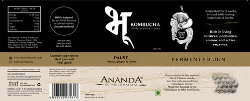 Kombucha | Pause (Lemon, Ginger, Honey Jun Tea) - Ananda - Unpasteurized - Natural – No Artificial Flavor & Preservatives – Bhu – 250ml
