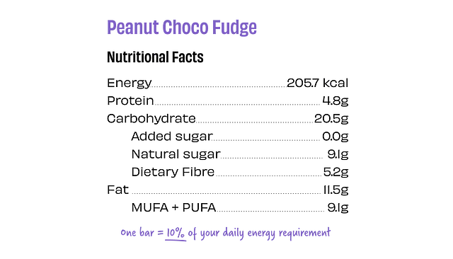 Peanut Choco Fudge Bar | (Made With Peanut, Dates & Cocoa) - Vegan, Gluten Free, Dairy Free & No Added Sugar - The Whole Truth – 40gm