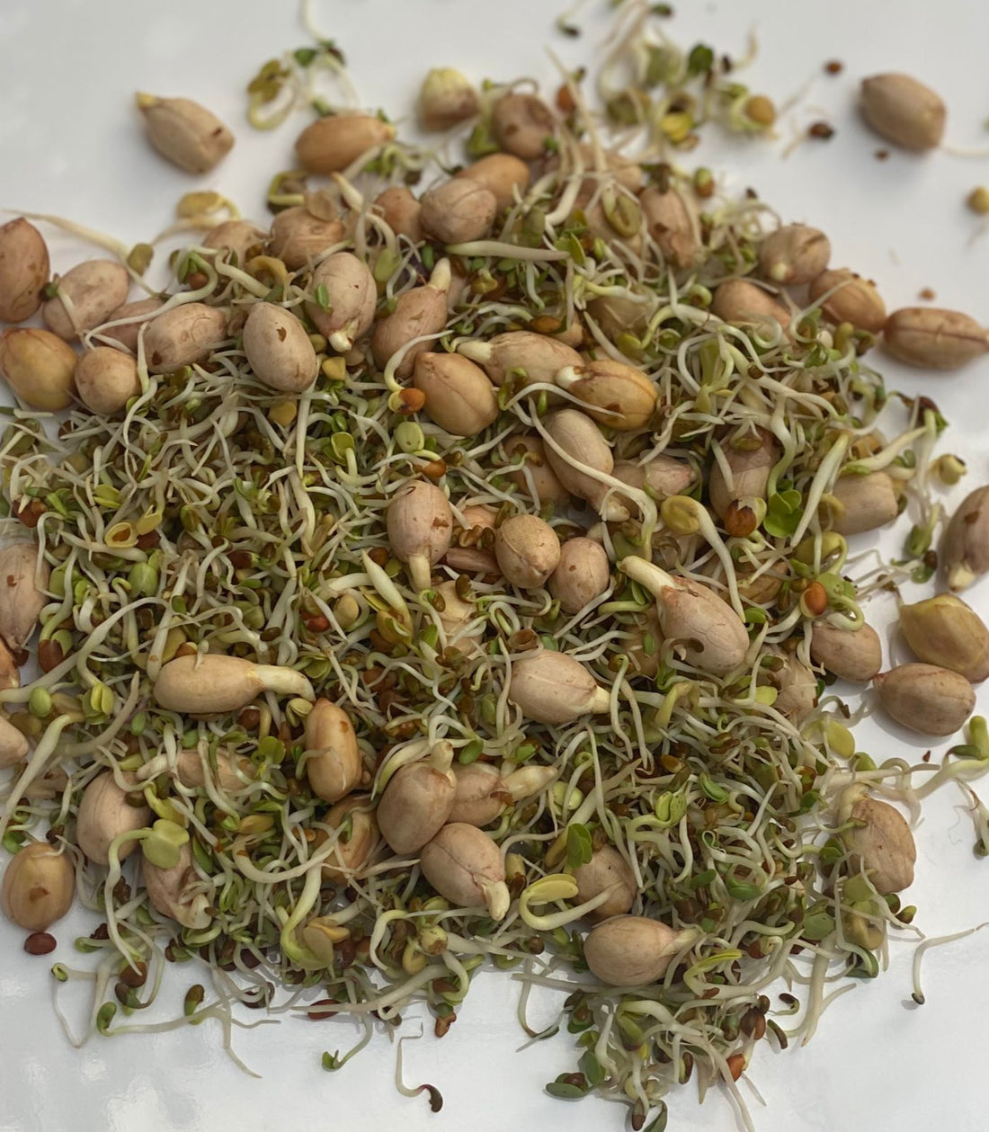 Peanuts Mix Sprouts - 80gm
