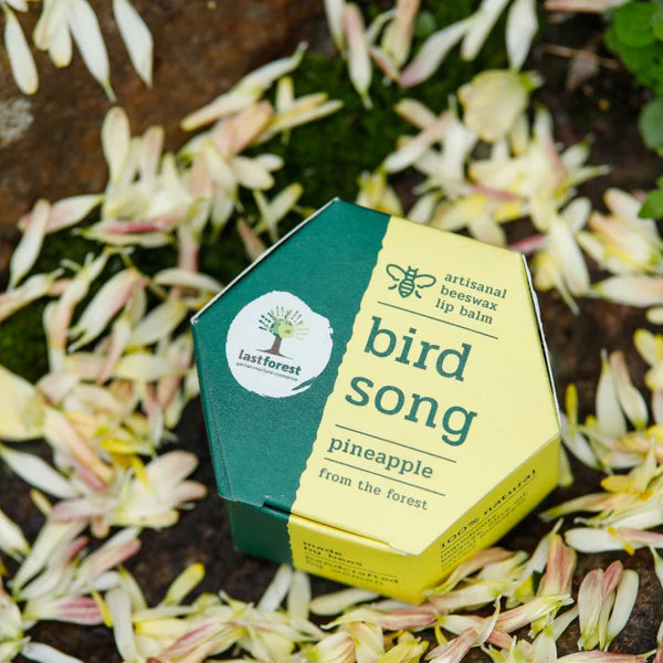 Lip Balm Pineapple - Last Forest - 5gm