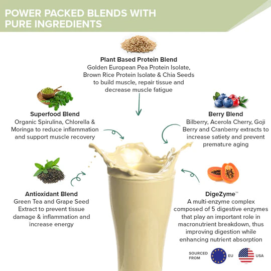 Protein Powder | Plant Protein - British Banoffee Pie - Vegan, Gluten Free, Dairy Free & Non Gmo - Wellbeing Nutrition - (15 Serving) - 500gm