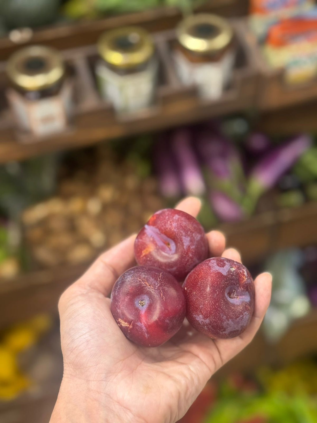Plums | Organically Grown