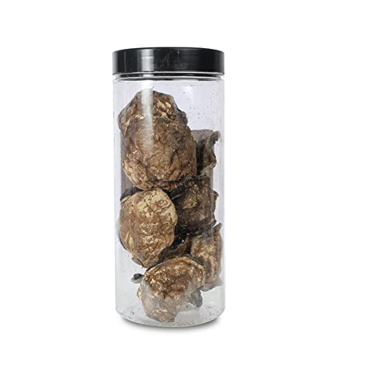 Portobello Mushrooms Extract | Natural - No Added Preservatives – The Mushroom Hub – 50gm
