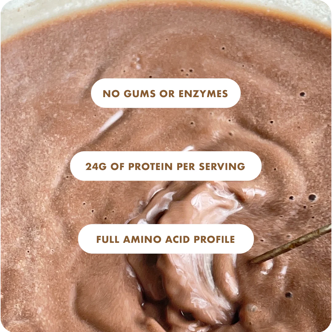 Protein Powder | Plant Protein - No Nonsense - Indonesian Cacao - 24gm Protein Per Serving - Vegan, Gluten Free, Soy Free, No Trans Fat, No Added Sugar, Gums, Enzymes & No Added Artificial Flavours - Cosmix - 500gm