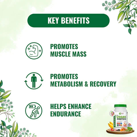 Protein Powder | Vegan Protein (With Omega 3 Fatty Acids & Digestive Enzyme Blend) – Banana And Strawberry Flavor – Gluten Free, Zero Added Sugar, High Protein & Non GMO – Pure Nutrition – 1000gm