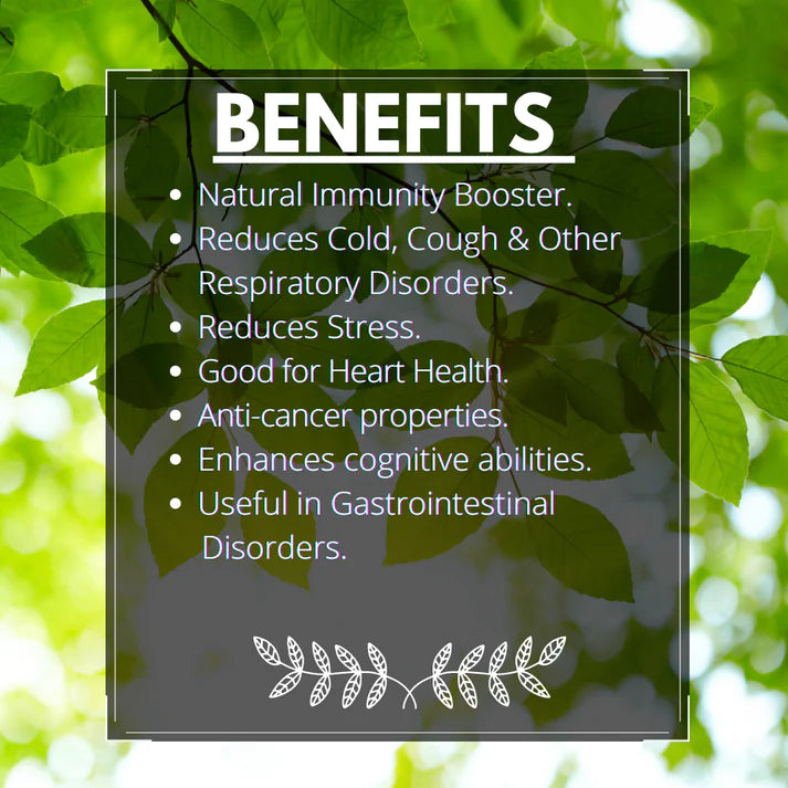 Tea | Wild Tulsi Tea (Ocimum sanctum) - Dried Cut Herb – Himalayan Sourced – Traditional Medicinal Tea - Organic - High In Vitamin C And A, Caffeine Free & No Added Sugar – Vaastavik – 100gm