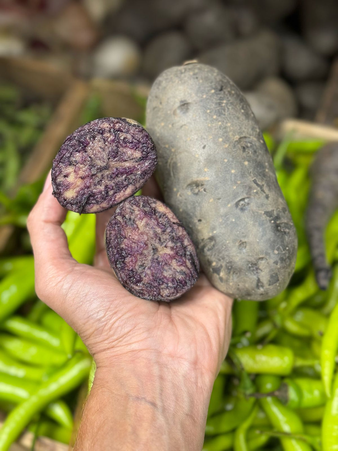 Potato | Purple Congo Potatoes (Paonta Sahib) – Organically grown