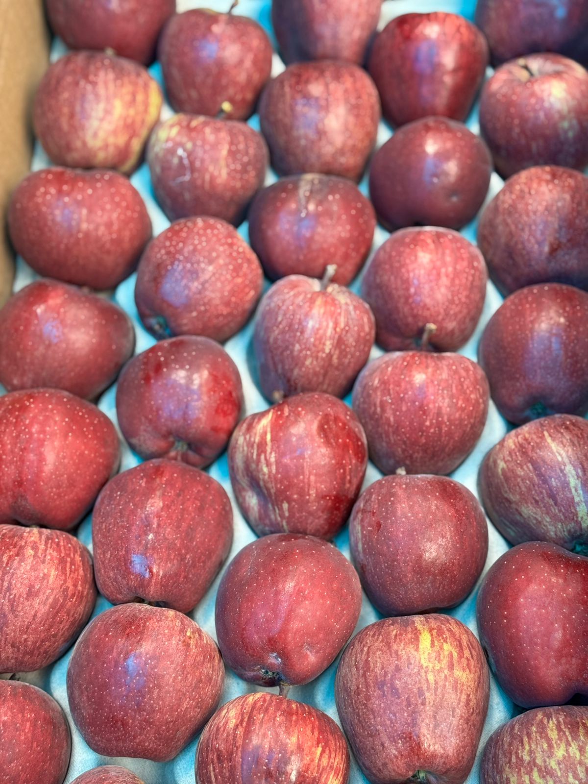 Spiti Red Apples | Red Kan Apple - No Wax-Certified Organic by Himachal Organic