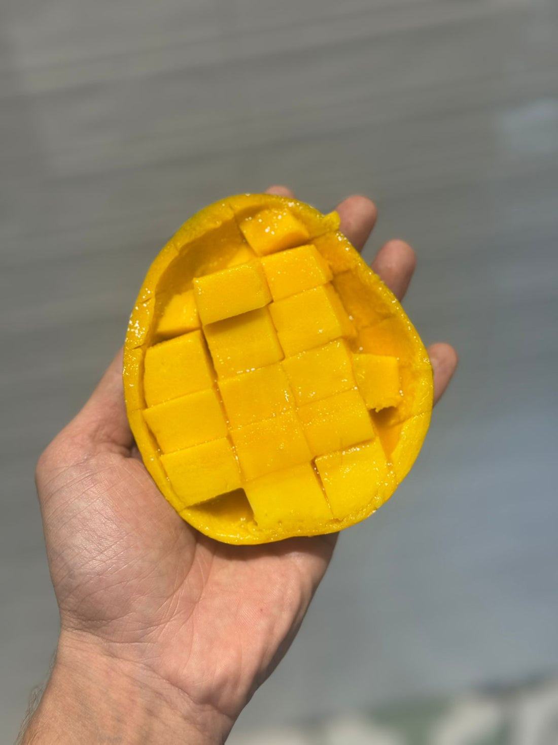 Mango| Rajapuri Mangoes - Godavari Farmers FPO (Nashik Subhash Palekar Krushi - Chemical & Carbide Free -Naturally Ripened - Organically Grown
