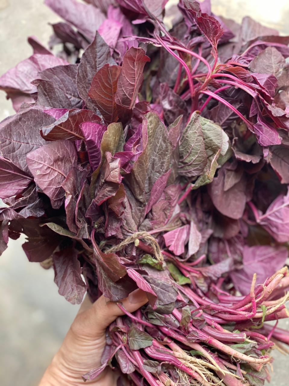 Red Amaranth | Laal Chaulai (Sonipat & Paonta Sahib) – Rich in Vitamin A, K & B and Potassium – Certified Organic