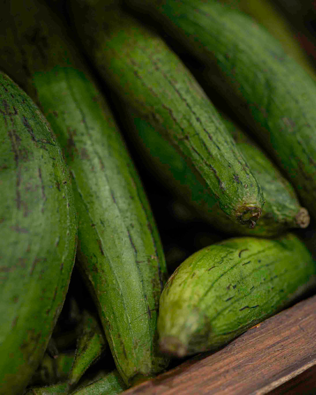 Ridge Gourd (Tori) (Bangalore) – Certified Organic