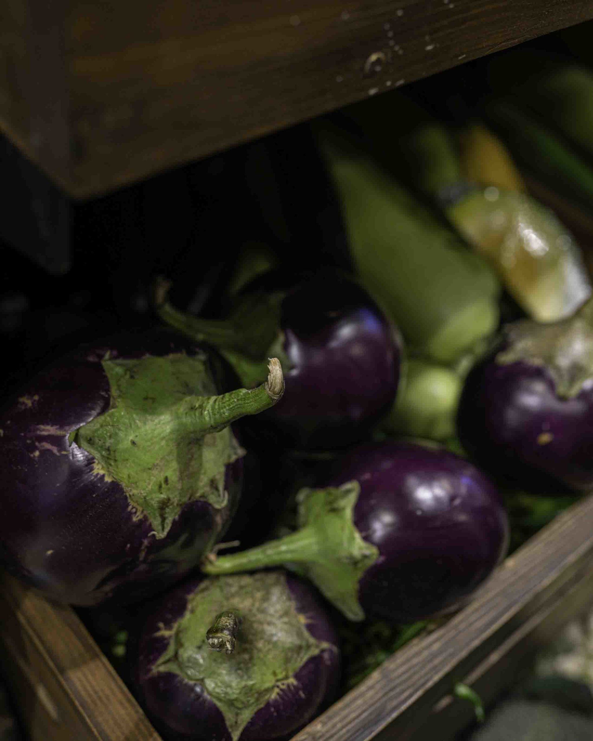 Brinjal Round (Haryana) | Controls Blood Sugar Levels & Reduces Cancer Risk - Organically Grown