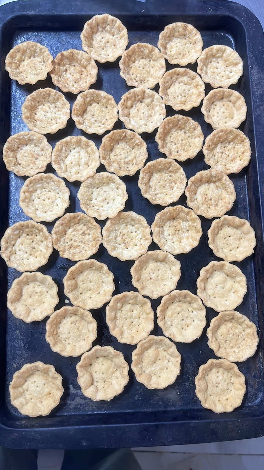 Savoury Canepes Platter -Handcrafted Gourmet Appetizers - Ready To Serve Party Bites – Nature’s Soul – Set Of 10