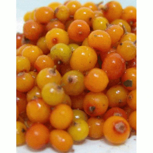 Seabuckthorn Juice | Himalaya 2 Home - 250ml