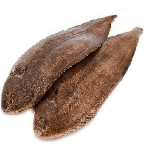 Sole Fish | Wild Caught (Boneless) – Fillet – Fresh – No Antibiotics And Hormone Free – 250gm