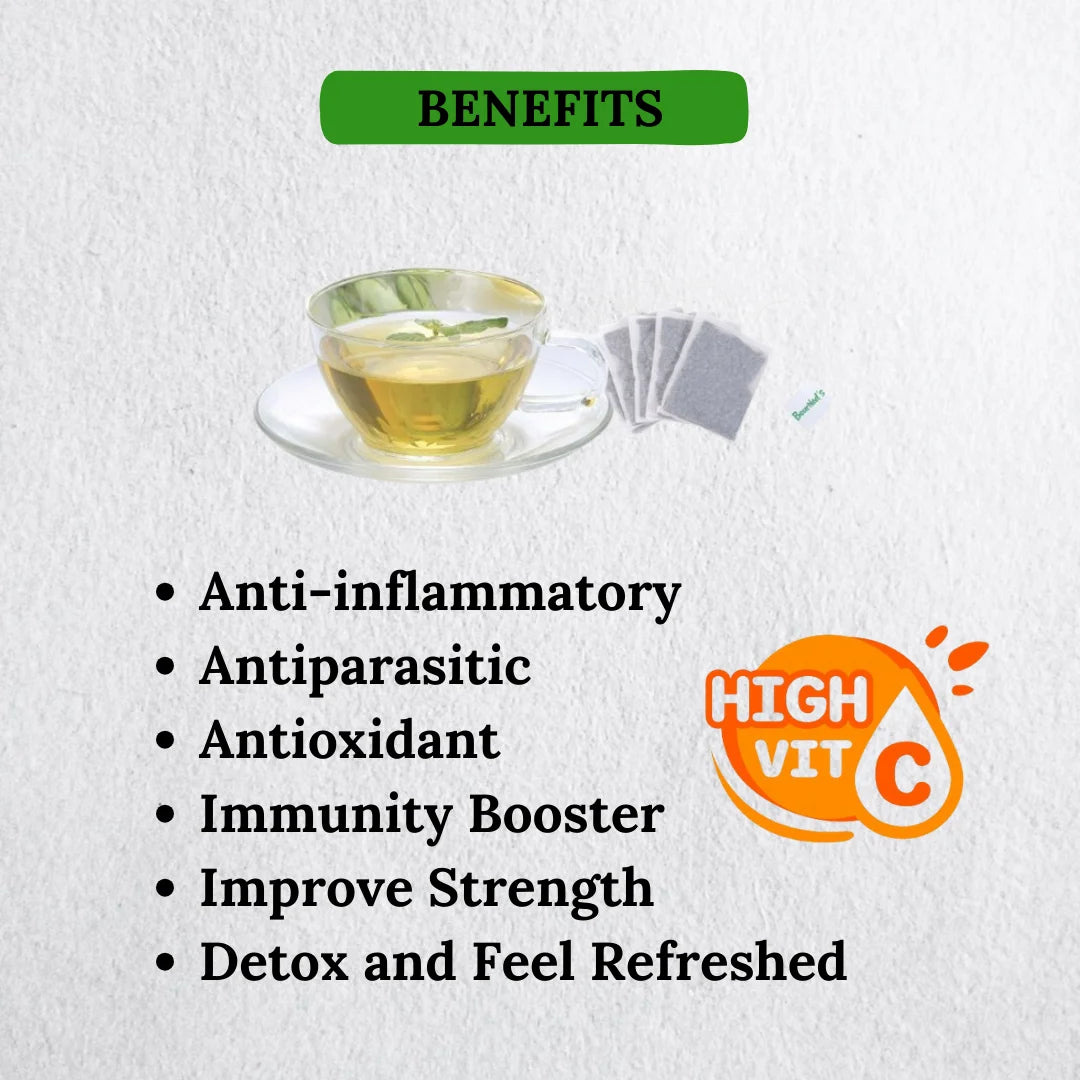 Tea | Soursop Mint Tea – Immunity Boosters – BourNeel’s – 25 Tea Bag
