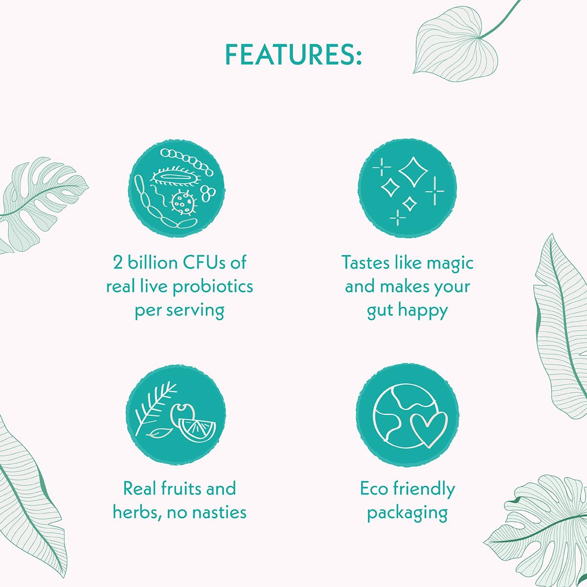 Elderflower – Kombucha – Atmosphere – 210ml