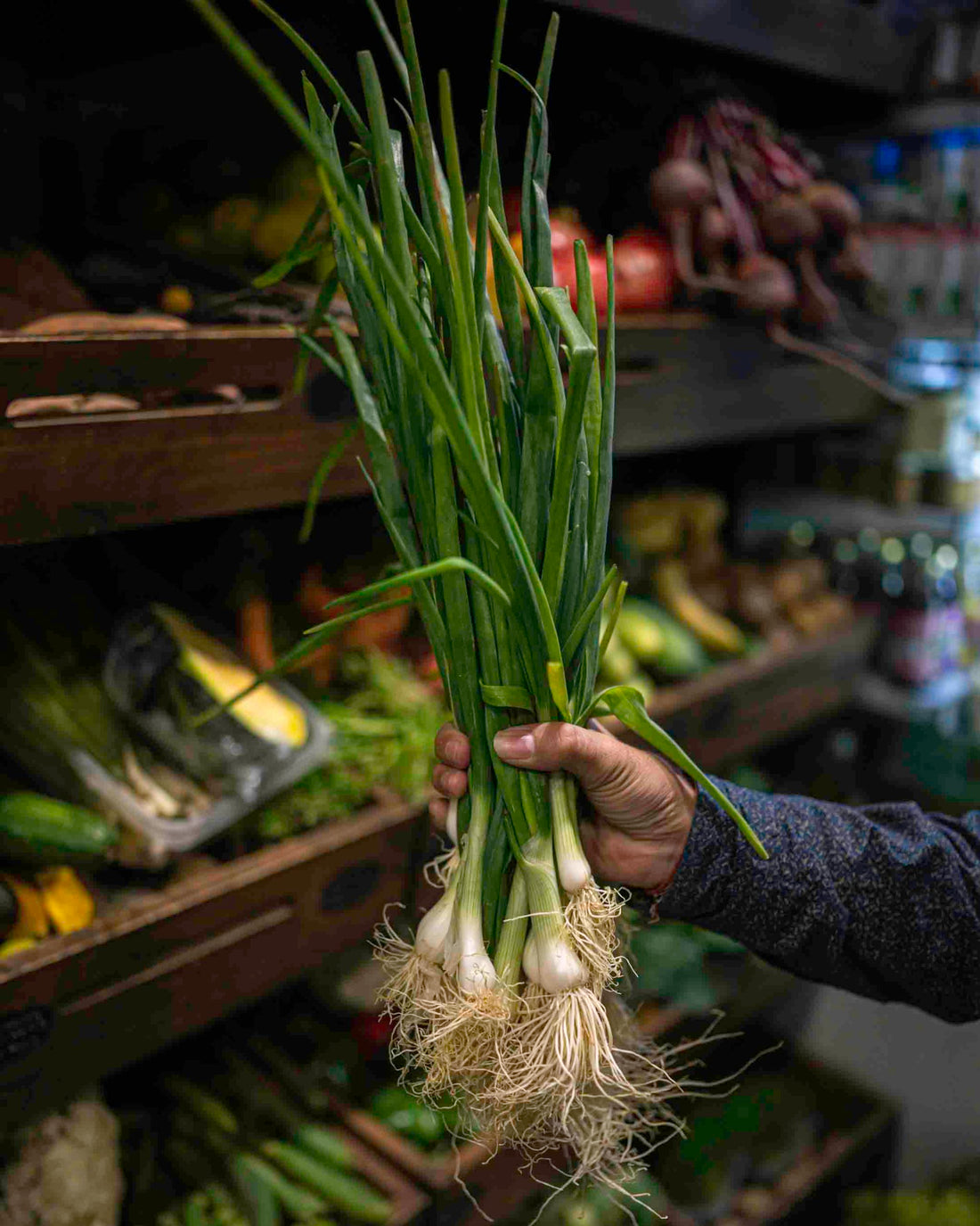 Spring Onions (Sonipat) | Great Source of Vitamin C and Calcium - Certified Organic