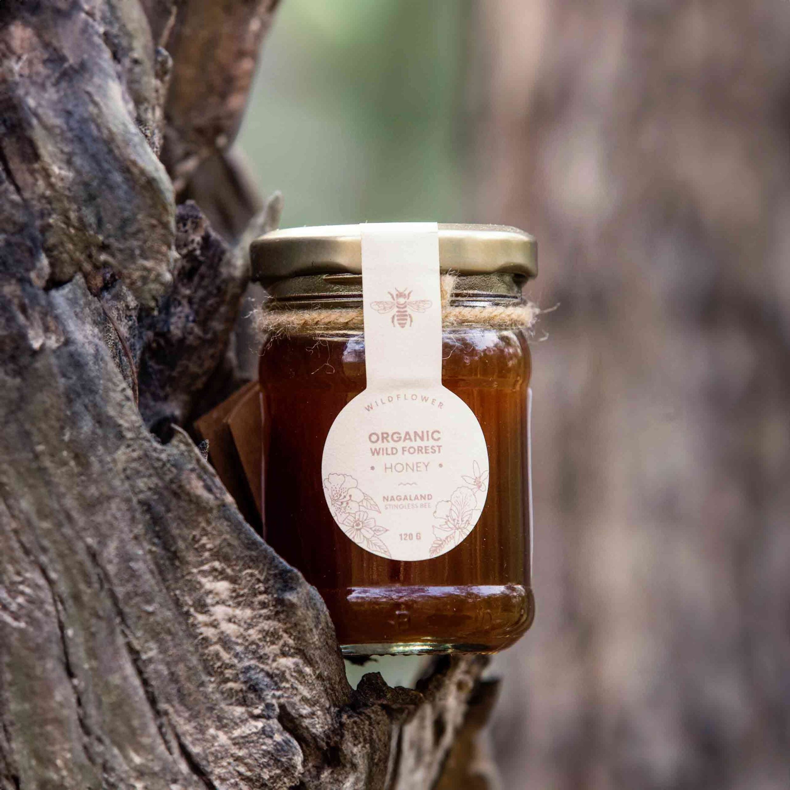 Honey | Organic Wild Forest Honey (Wildflower) - Stingless Bee Honey - Nagaland - 100% Pure & Natural - Galho - 120gm