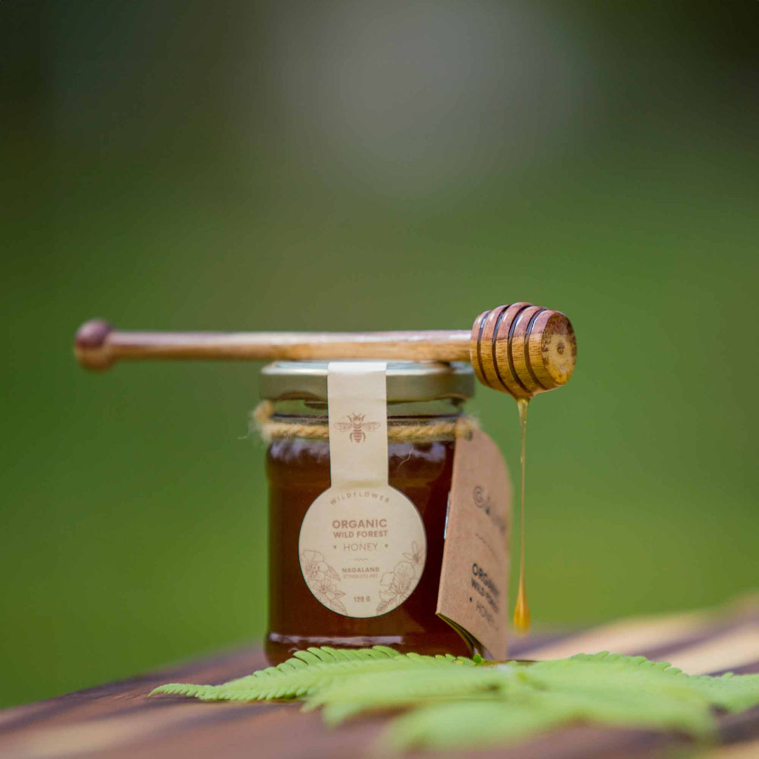 Honey | Organic Wild Forest Honey (Wildflower) - Stingless Bee Honey - Nagaland - 100% Pure & Natural - Galho - 120gm