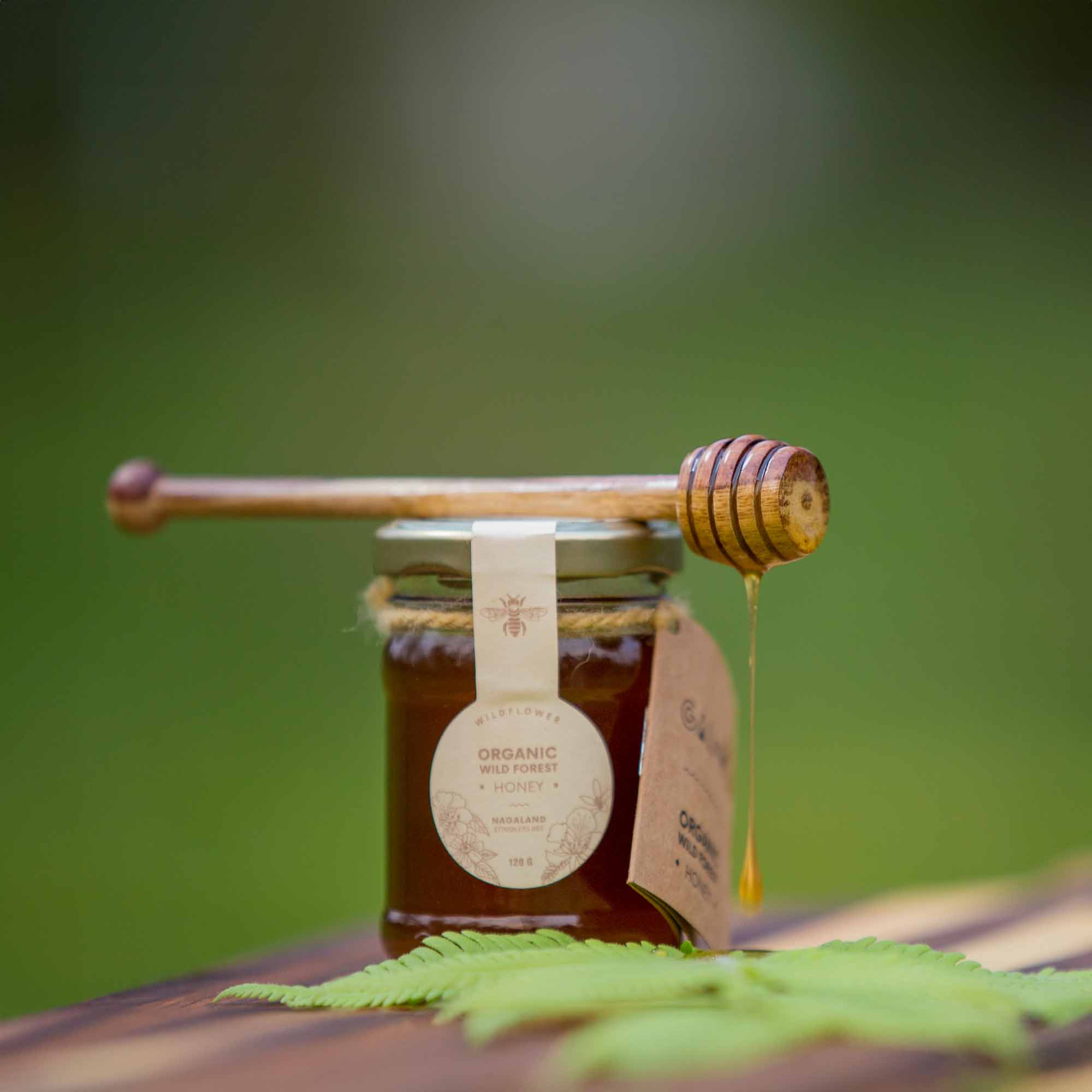 Honey | Organic Wild Forest Honey (Wildflower) - Stingless Bee Honey - Nagaland - 100% Pure & Natural - Galho - 120gm