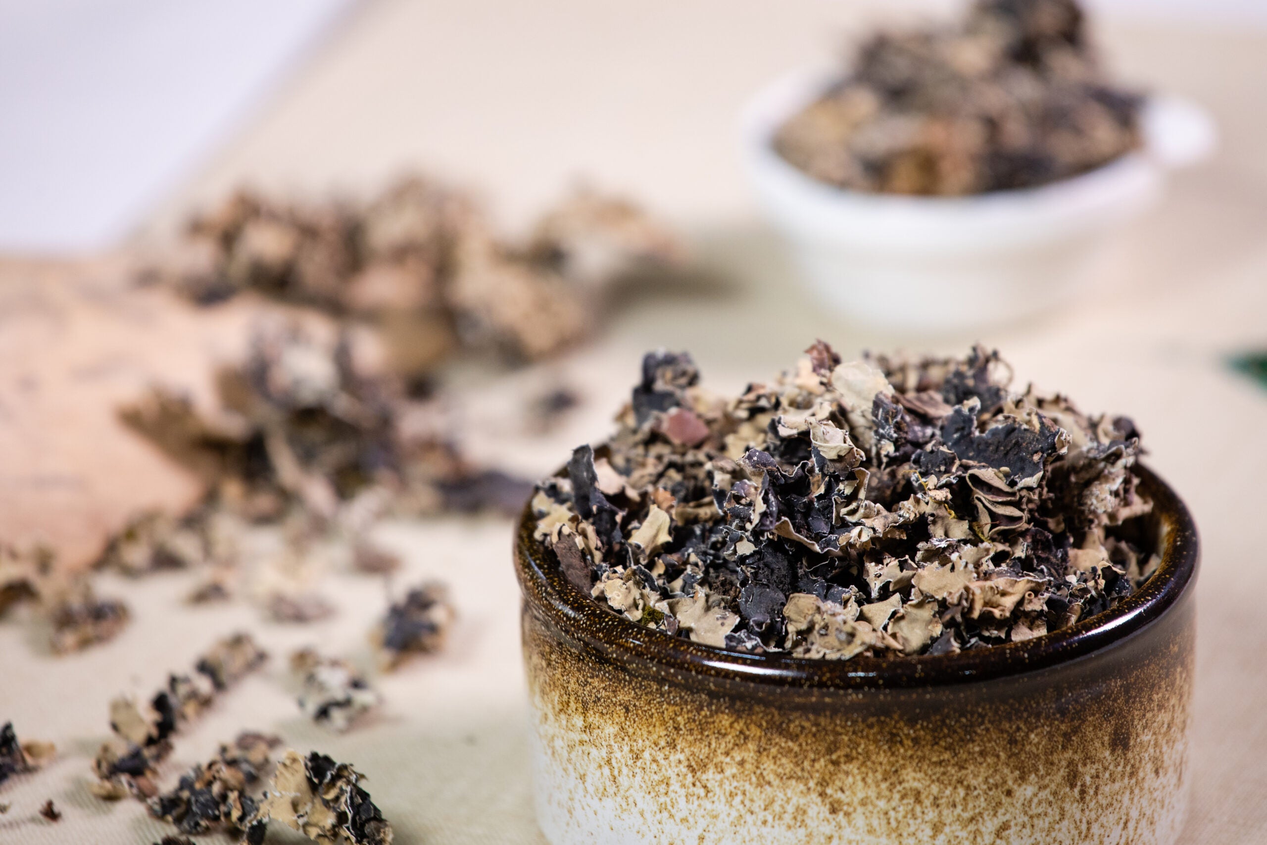 Stone Flower | Dagad Phool (Wonderful Smoky Flavour) - Natural - Meghalaya - Vegan, Gmo Free & Chemical Free - Pahari Roots - 30gm