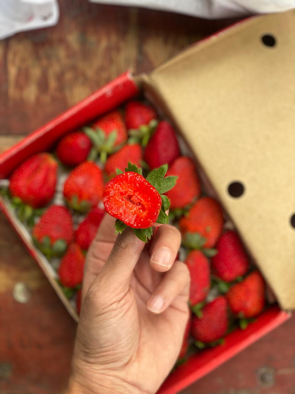 Strawberries - Mahabaleshwar - Certified Organic - 500gm