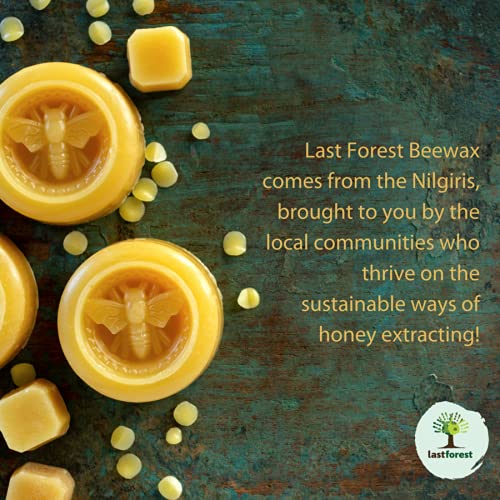 Lip Balm Pineapple - Last Forest - 5gm