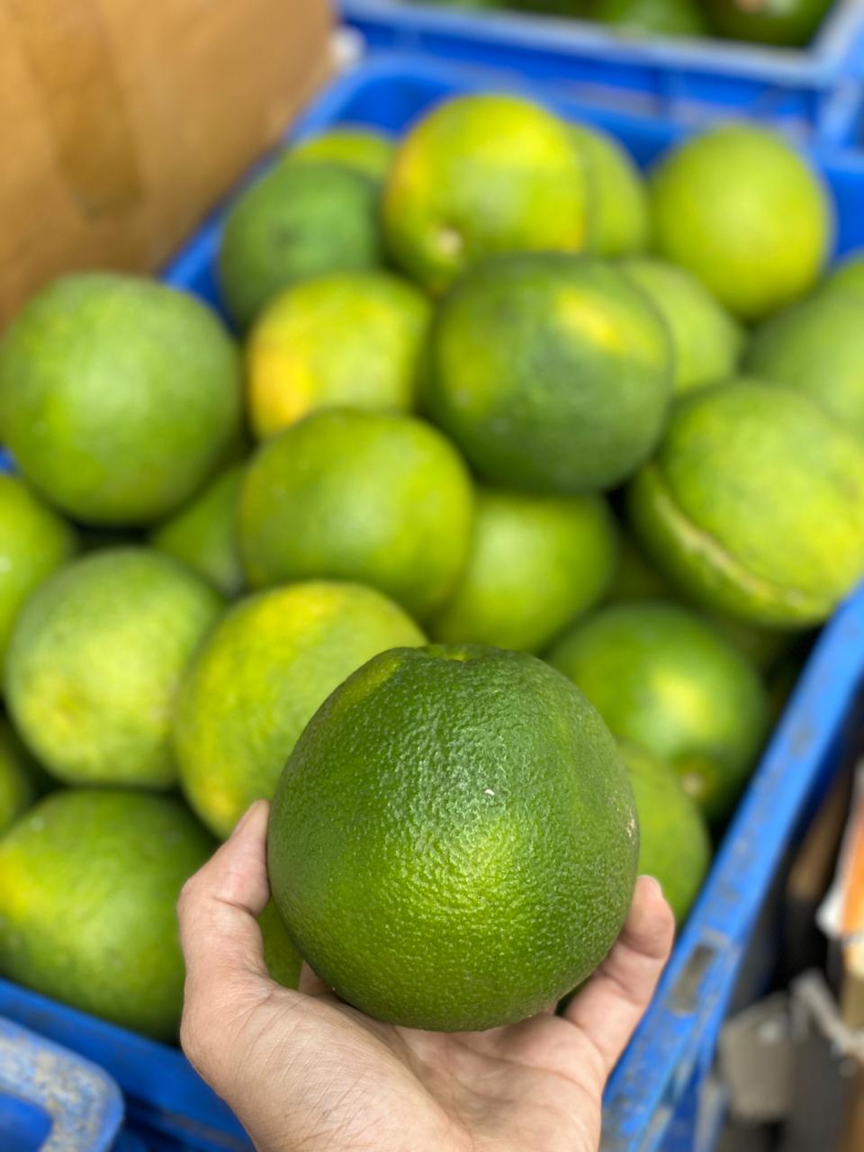 Sweet Lime (Mosambi) | Loaded With Vitamin C And Folic Acid - Organically Grown