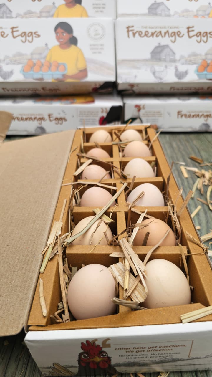 Eggs | Free Range Eggs – Cage Free, No Antibiotics & Hormone Free - The Backyard Farms - 12 Eggs